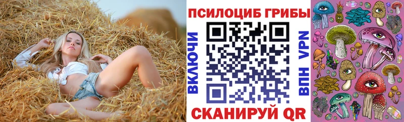 Галлюциногенные грибы GOLDEN TEACHER  Купить  Гудермес 