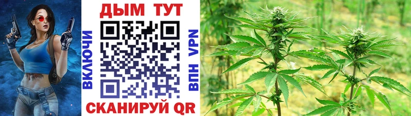 Купить где  Гудермес  Шишки марихуана семена 